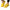 Chaussures de Yoga Pilate