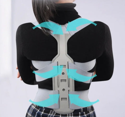 Ceinture de Posture Dorsale