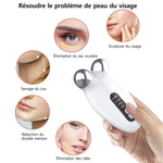 Masseur Électrique Facial